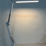 Gooacc Lamp whose light can be turned in all directions
