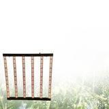 Gooacc Light Emitting Diode (LED) plant grow light