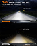 9007/HB5 LED Bulbs (Pair)
