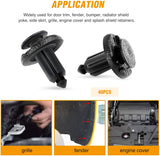 40 Pcs Bumper & Radiator Support Clip